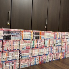 単行本。レンタル落ちの画像