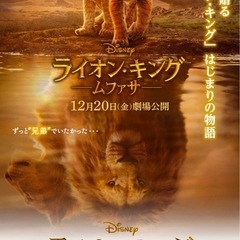 映画見に行きませんか？🌼