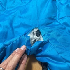 着る寝袋　ヒューマノイド　ドッペルゲンガーの画像