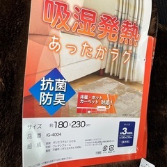 暖かラグ