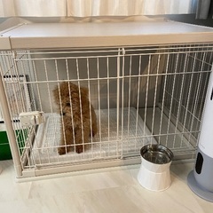 中型犬用ケージ　インテリアウッディサークル PIWS-960 ア...