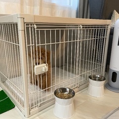 中型犬用ケージ　インテリアウッディサークル PIWS-960 アイリスオーヤマの画像