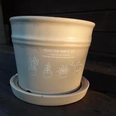 陶器の植木鉢の画像