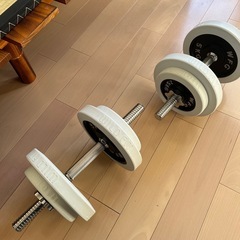 ダンベル 30kg2個　wild fit ホワイト