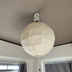 家具 照明器具