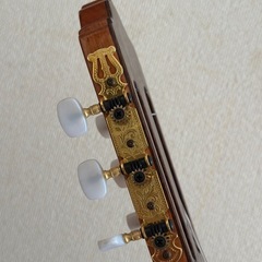 クラシックギター(ハードケース付)の画像