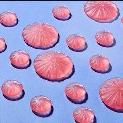 カンロ　シークラゲグミ　アカクラゲの画像
