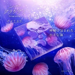 カンロ　シークラゲグミ　アカクラゲの画像