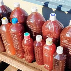6/21(土)〜23(月)限定でお渡し可能！超濃厚PSB 光合成細菌 活バクテリア500mL〜　熱帯魚.メダカ.金魚.家庭菜園や観葉植物へ！の画像