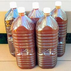 6/21(土)〜23(月)限定でお渡し可能！超濃厚PSB 光合成細菌 活バクテリア500mL〜　熱帯魚.メダカ.金魚.家庭菜園や観葉植物へ！の画像