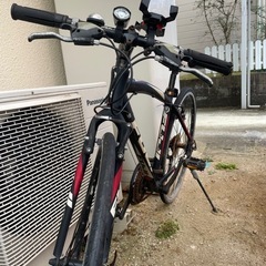 FUJI　SPARROW17