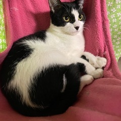 7か月ウナちゃん