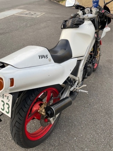 バイク TZR250 1kt