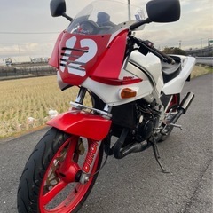 TZR250 1kt