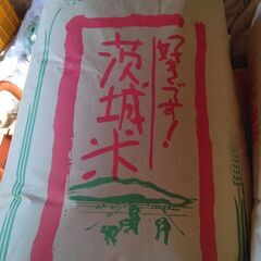 新米