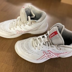 ［商談中］アシックスバスケットシューズ