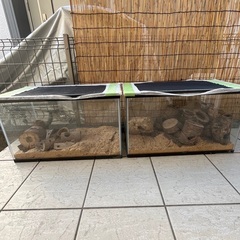 昆虫飼育ケースの画像