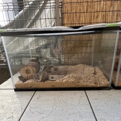 昆虫飼育ケースの画像