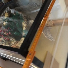 龍と鷲と松と梅の細工物　一部破損の画像