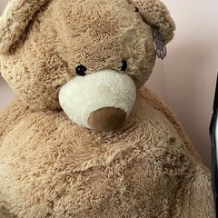 人気のコストコ　巨大クマ　ぬいぐるみの画像