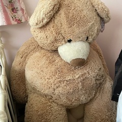 人気のコストコ　巨大クマ　ぬいぐるみの画像