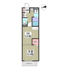 ⭐️年末年始は、休まず対応いたします💕初期費用「８万円」・初月賃料なし・敷金なし・礼金なし・仲介手数料なし💕築浅・一人暮らしにおすすめの１DKのお部屋✨の画像