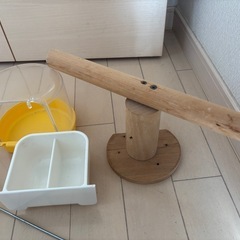 鳥　止まり木　ホーエイ　の画像