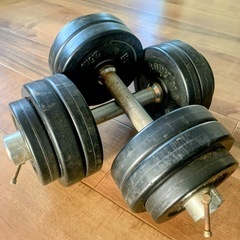 【ダンベル】中古品2点（25kg）