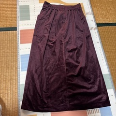 チャオパニックベロアスカートの画像