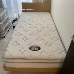 早く引き取りに来ていただける方よろしくお願いします。