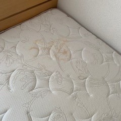 早く引き取りに来ていただける方よろしくお願いします。の画像