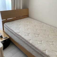 早く引き取りに来ていただける方よろしくお願いします。の画像