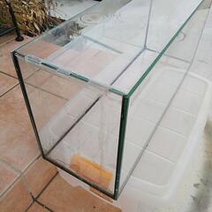 お話し中☆水槽！コトブキ製の画像
