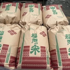 令和６年新米　玄米10キロ　保冷庫保存