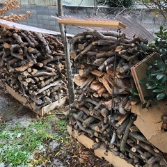 薪用梨の枝2年乾燥薪割りせず直ぐに使えます。の画像