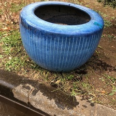 メダカ　鉢　プランター