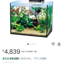 (無料)テトラ水槽