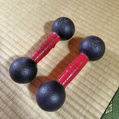鉄アレイ 2kg 2個セット(トレーニング用)