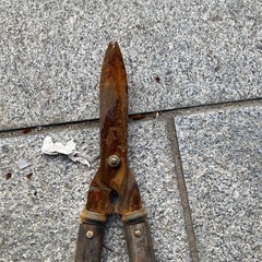 刈込はさみ大の画像