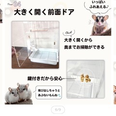 フクロモモンガ 360度見渡せるアクリルルーム 大 アクリル ケージ 小動物専用 鳥かご 68cmの画像
