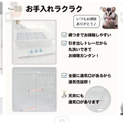 フクロモモンガ 360度見渡せるアクリルルーム 大 アクリル ケージ 小動物専用 鳥かご 68cmの画像
