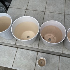 お取引中　大きめの植木鉢　陶器製の画像