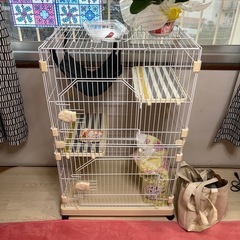 猫 ケージ キャットタワーの画像