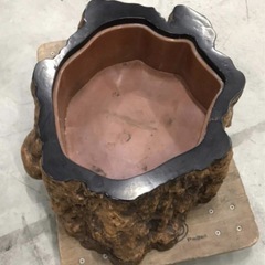 切り株火鉢 くりぬき火鉢 瘤 こぶ鉢 天然木 無垢材 刳り貫き火鉢