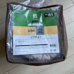フロアーマット
の画像