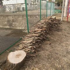 薪 無料！ 埼玉 坂戸　ご自由にどうぞ！