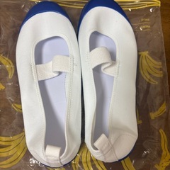 上履き　22cmの画像