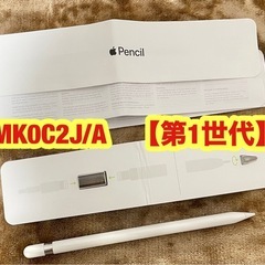 純正 iPad Pro / iPad Apple Pencil