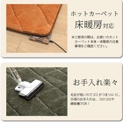 イケヒコ　カーペットの画像
