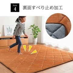 イケヒコ　カーペットの画像